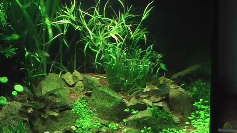 26.02.2011 von *Lucie* (5)