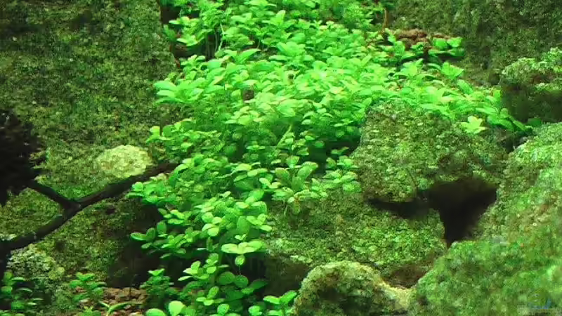 26.02.2011 von *Lucie* (7)