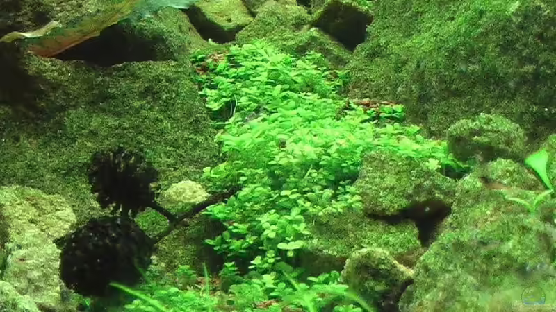 26.02.2011 von *Lucie* (8)