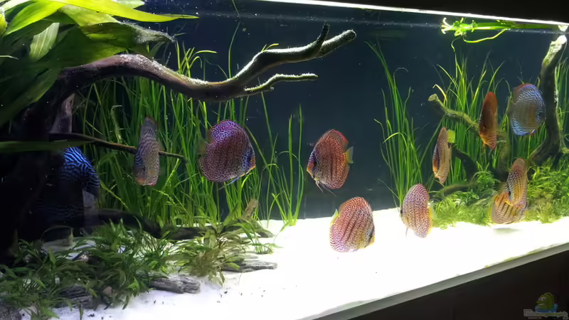 26.02.2012 von Dani B (8)