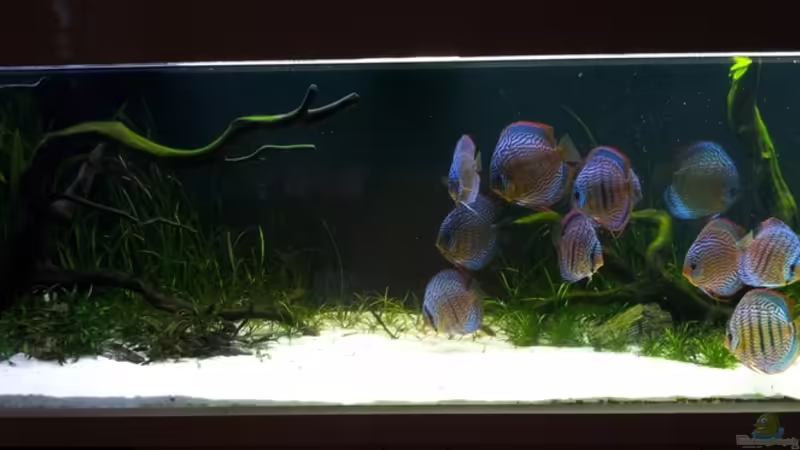 26.02.2012 von Dani B (9)