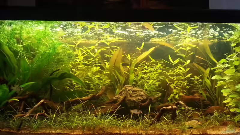 26.02.2012 von Shinra (3)