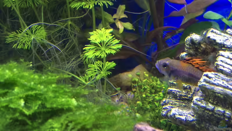 26.03.16 von .Andreas. (131)