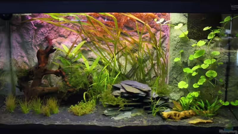 26.03.2012 von Springer (8)