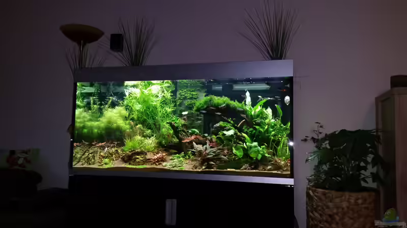 26.03.2016 Gesamtansicht von foxi (8)