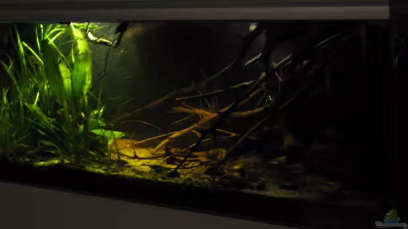 26.03.2017 von der Theoretiker (14)