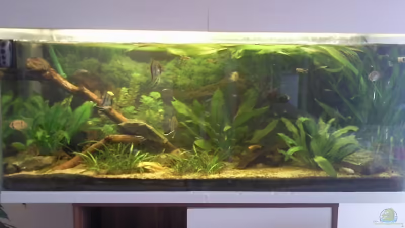 26.04.2012 von ~Danny~ (9)