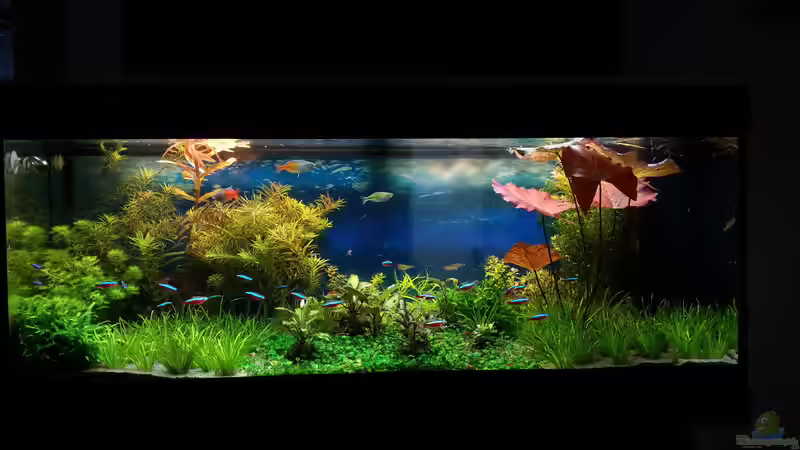 26.04.2015 von <--- sebi ---> (11)