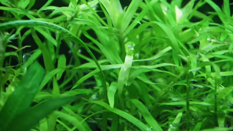 26.04.2015 von Aniram (3)