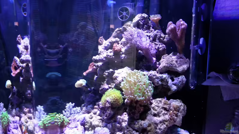 26.04.2015 von BenoN (7)