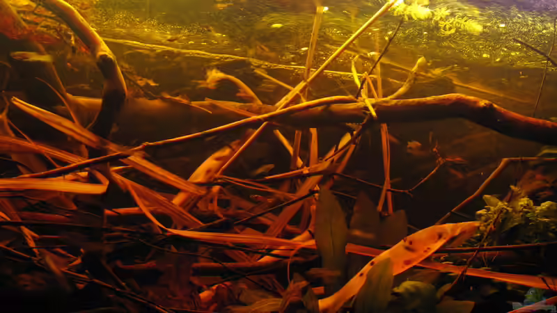 26.04.2015 zentrale Mitte von unten fotografiert von der Theoretiker (19)