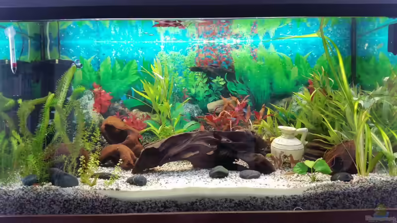 26.05.2016 von SvenDerGroße (3)