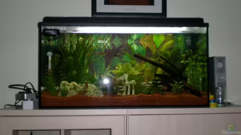 26.06.08 von Meli (3)