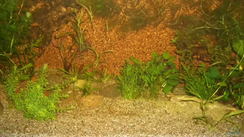 26.06.2009 von bobbyfee (7)