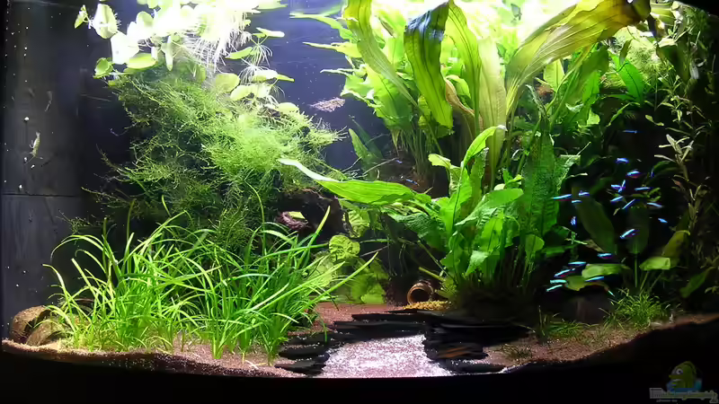 26.06.2014 mit LED-Beleuchtung von Christian Grunwald (2)