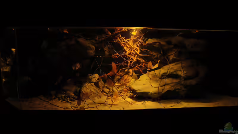 26.06.2014 von Laura (15)