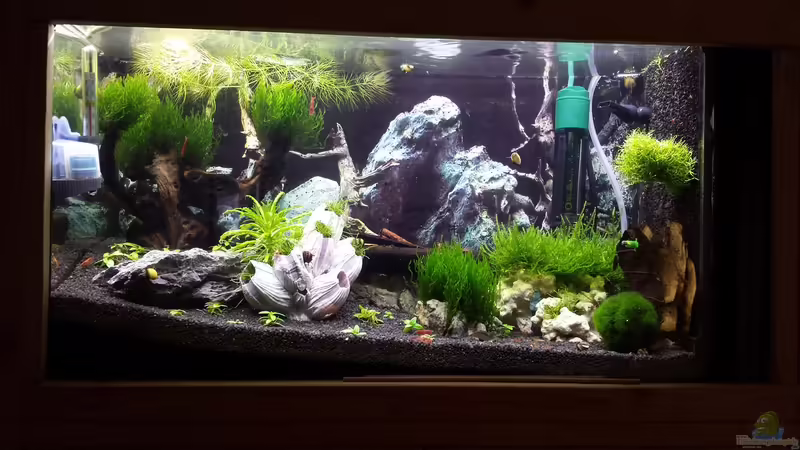 26.06.2014 von Lucky3310 (7)