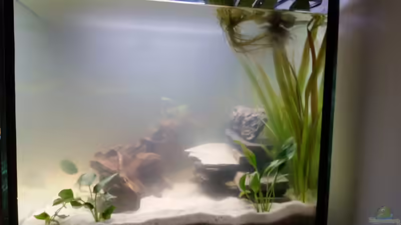 26.06.2016 von SvenDerGroße (2)