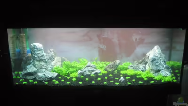 26.07.11 von Namor Rellek (5)