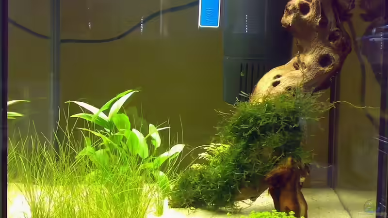 26.07.2008 von Thomas Höppner (3)