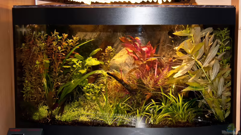 26.07.2010 von Ralf64 (21)