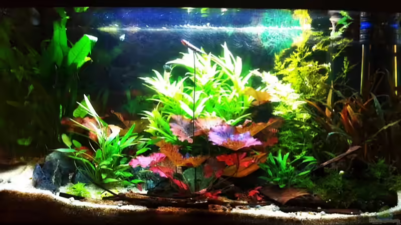 26-08-11 von Sebastian Philipp (4)