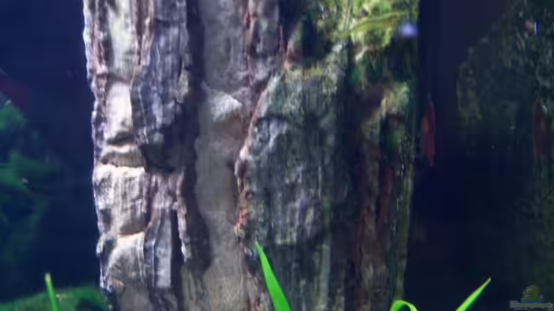 26.08.2010 - Am Felsen von Schratze (29)