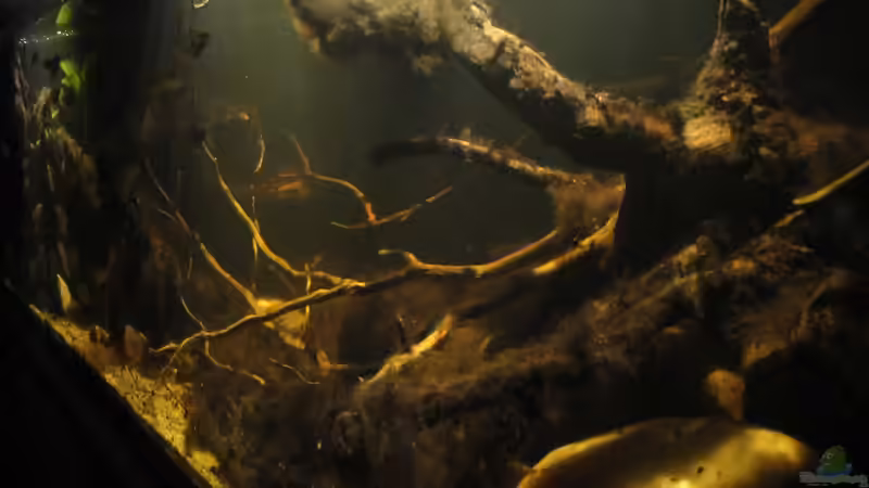 26.08.2015 von Laura (2)