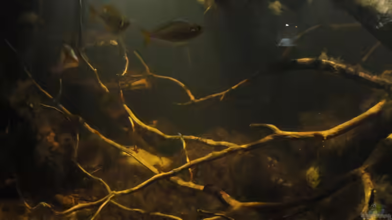 26.08.2015 von Laura (3)