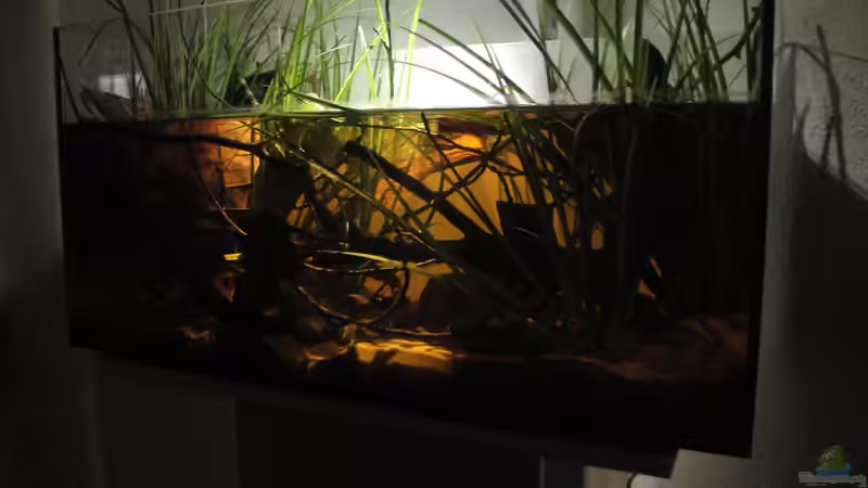 26.08.2015 von Laura (7)