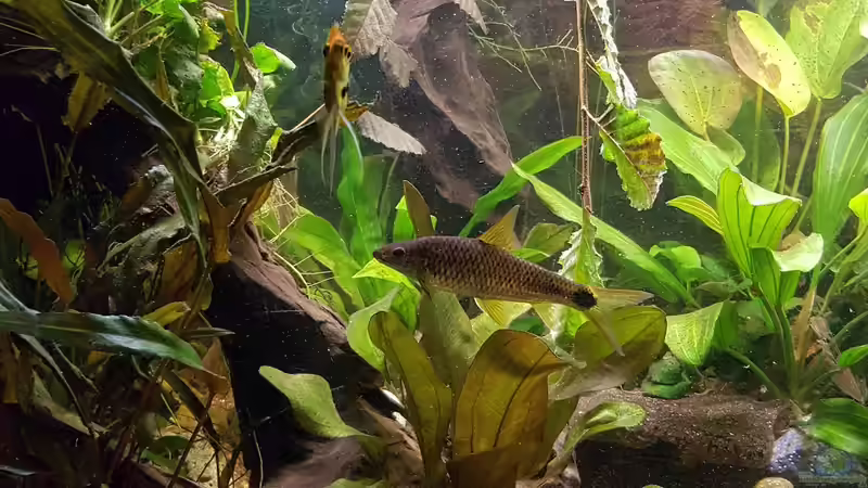 26.08.2017 von Ele Meer (3)