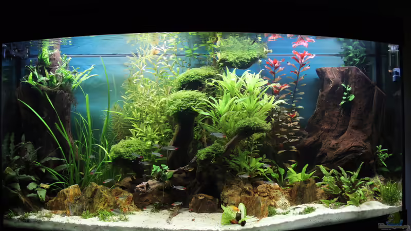 26.09.2016 von Jumata (6)