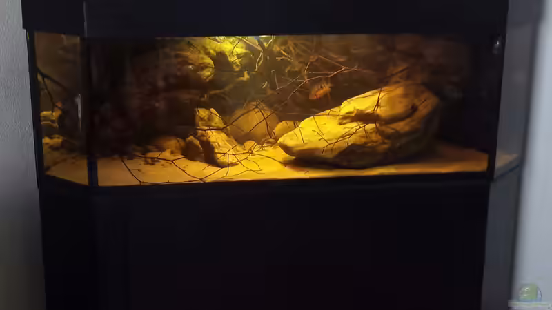 26.10.14 von Laura (29)