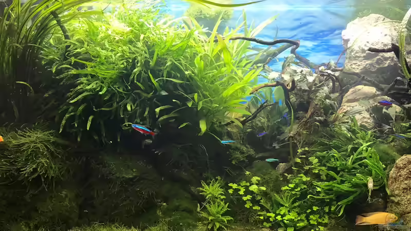 26.10.18 von Der Nicky (13)