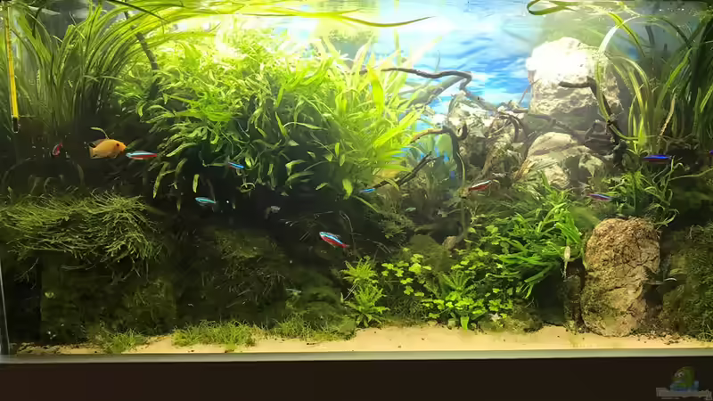 26.10.18 von Der Nicky (14)