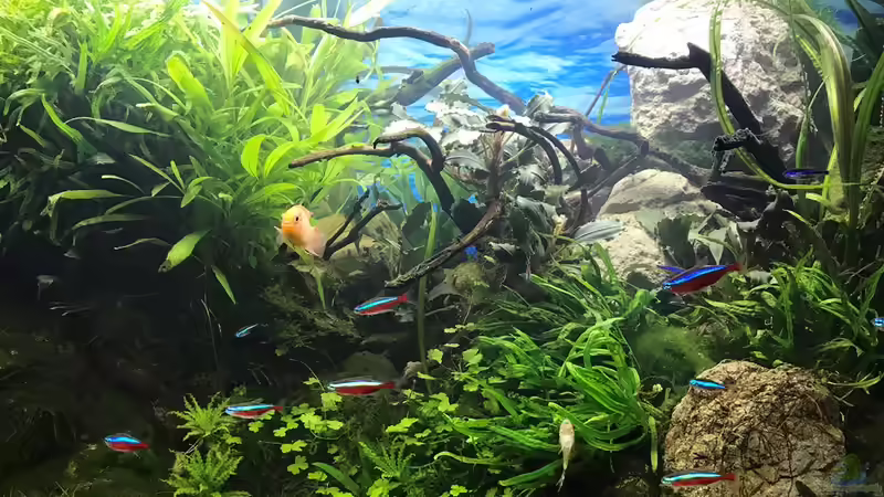 26.10.18 von Der Nicky (15)