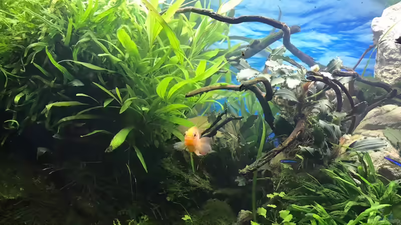 26.10.18 von Der Nicky (17)