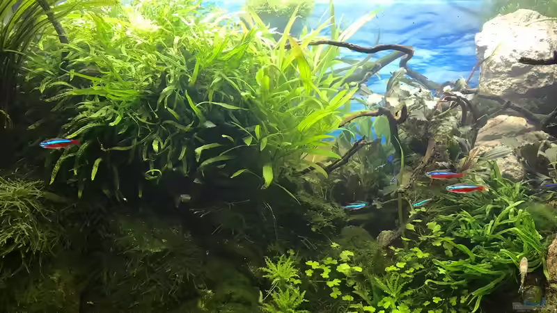 26.10.18 von Der Nicky (18)