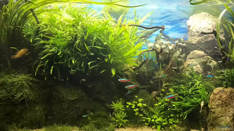 26.10.18 von Der Nicky (19)