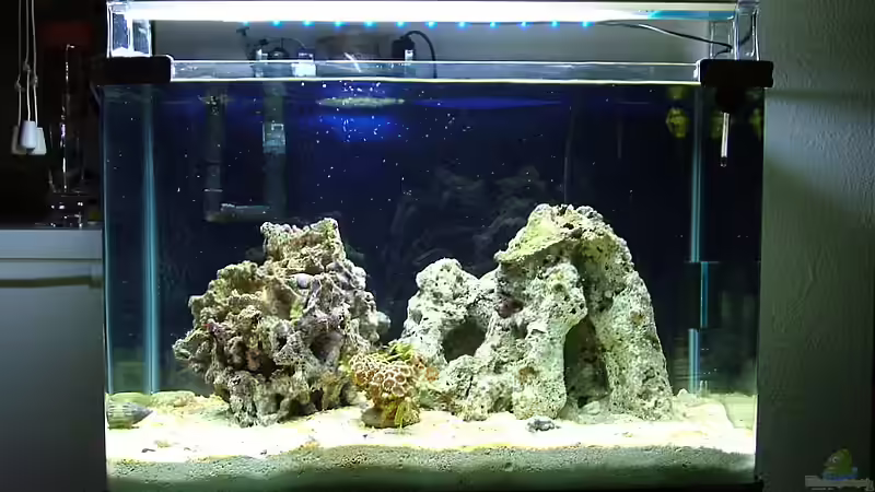 26.10.2008 von Merya (8)