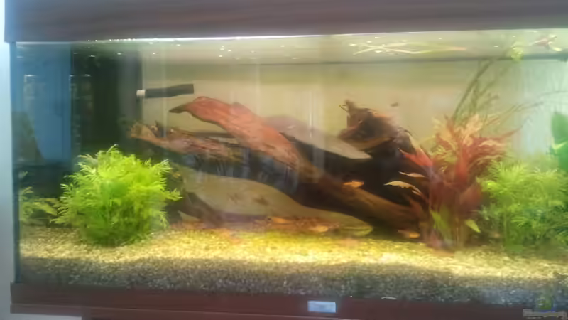 26.10.2012 von Alexander Budzien (9)