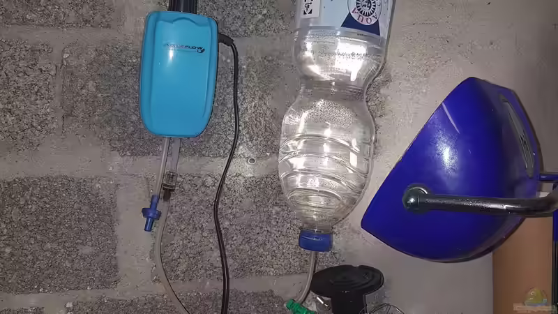 26.10.2018 Schlupf Flasche  von Kevin Engelsberger (25)