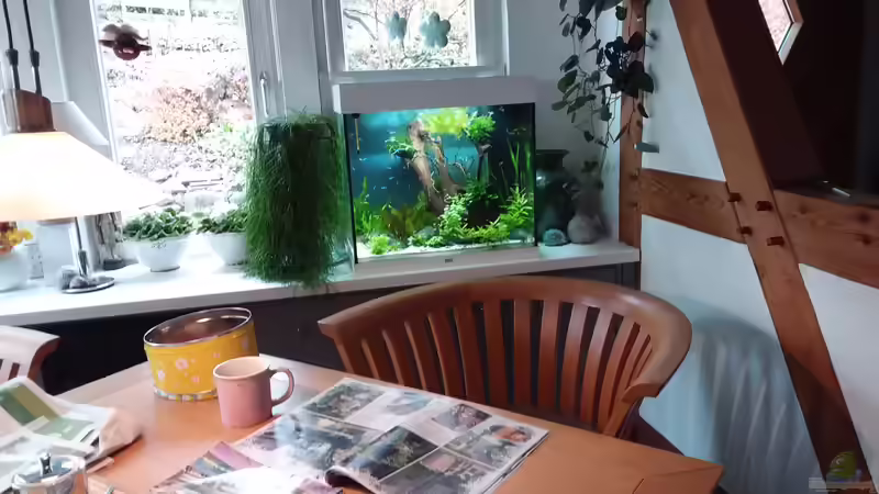 26.10.2020 von Grünhexe (3)