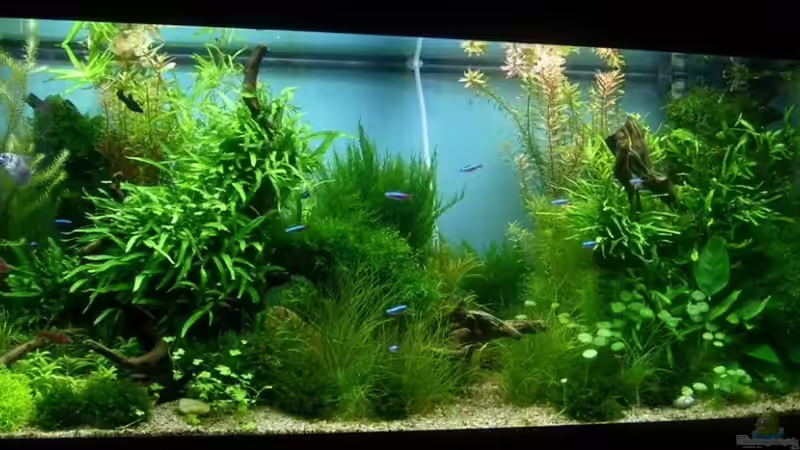 26.11.2011 von Volkmar1 (22)