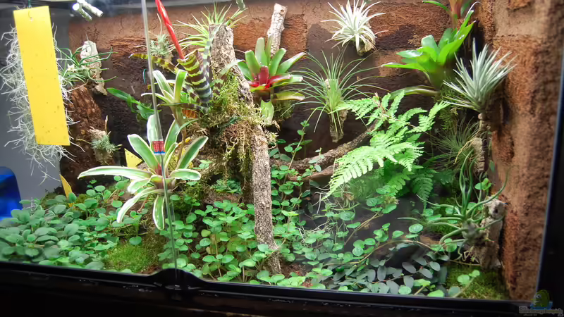 26.11.2012 von Junglist (38)