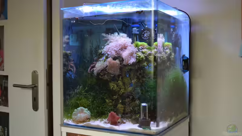 26.11.2015 von Junglist (2)