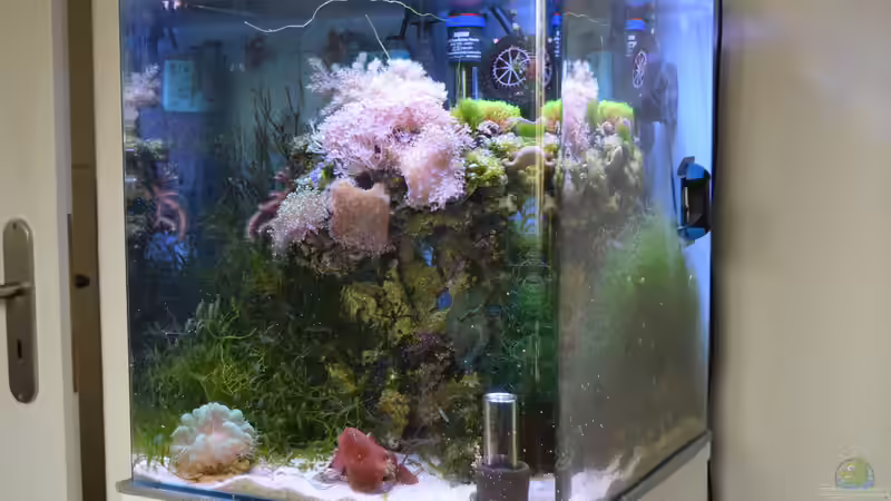 26.11.2015 von Junglist (3)