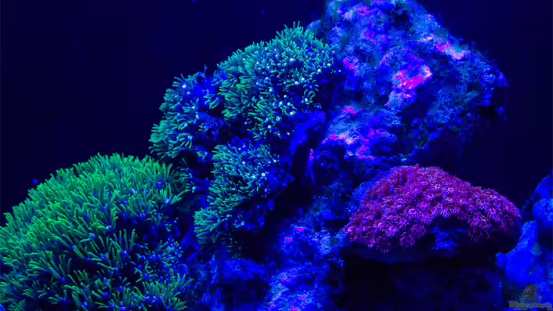 26-11-2017 von mmbm78! (13)