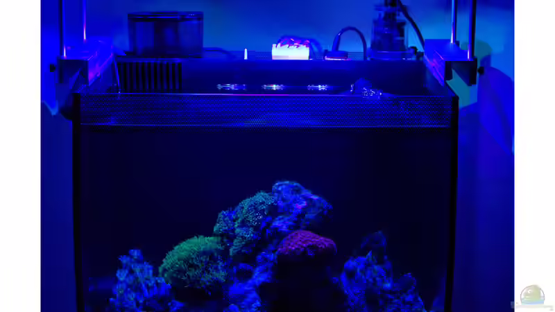 26-11-2017 von mmbm78! (14)