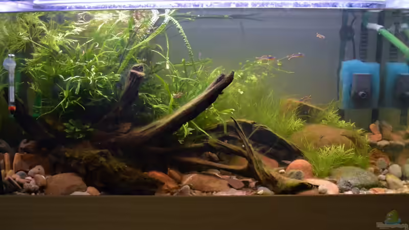 26.112016 von Dominik (8)